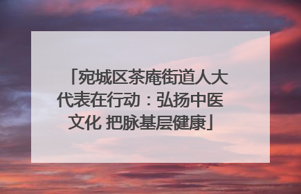 宛城区茶庵街道人大代表在行动：弘扬中医文化 把脉基层健康