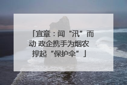 宜章：闻“汛”而动 政企携手为烟农撑起“保护伞”