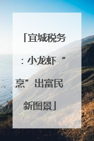 宜城税务：小龙虾“烹”出富民新图景