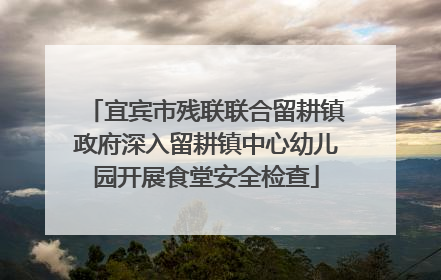 宜宾市残联联合留耕镇政府深入留耕镇中心幼儿园开展食堂安全检查