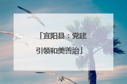 宜阳县：党建引领和美善治