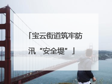 宝云街道筑牢防汛“安全堤”