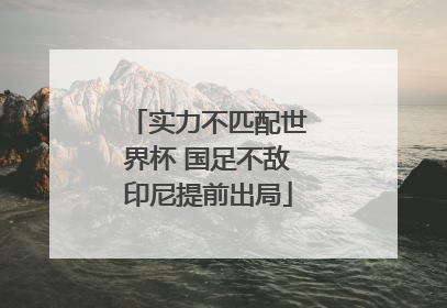 实力不匹配世界杯 国足不敌印尼提前出局