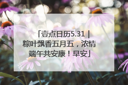 壹点日历5.31｜粽叶飘香五月五，浓情端午共安康！早安