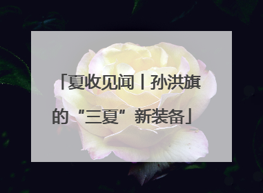 夏收见闻丨孙洪旗的“三夏”新装备