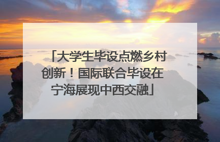 大学生毕设点燃乡村创新！国际联合毕设在宁海展现中西交融