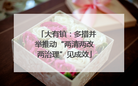 大有镇：多措并举推动“两清两改两治理”见成效