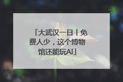 大武汉一日丨免费人少，这个博物馆还能玩AI