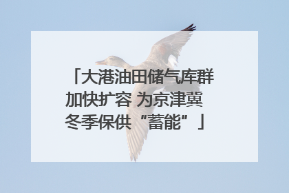 大港油田储气库群加快扩容 为京津冀冬季保供“蓄能”