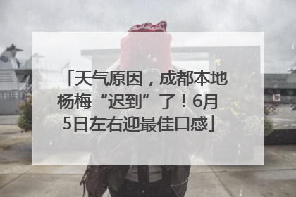天气原因，成都本地杨梅“迟到”了！6月5日左右迎最佳口感