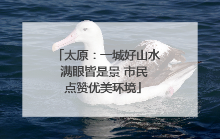 太原：一城好山水 满眼皆是景 市民点赞优美环境