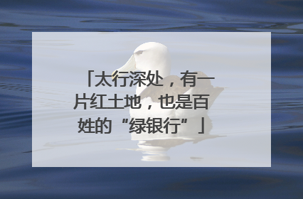 太行深处，有一片红土地，也是百姓的“绿银行”