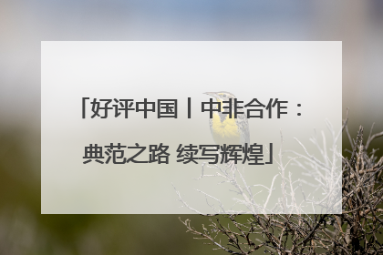 好评中国丨中非合作：典范之路 续写辉煌