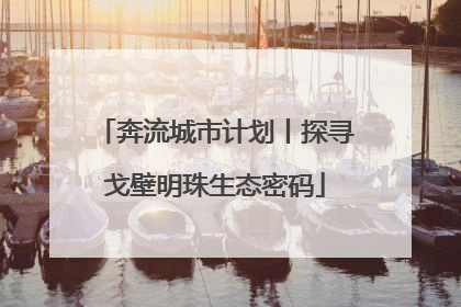 奔流城市计划丨探寻戈壁明珠生态密码