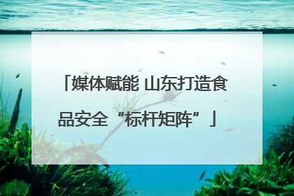媒体赋能 山东打造食品安全“标杆矩阵”