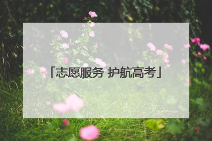 志愿服务 护航高考