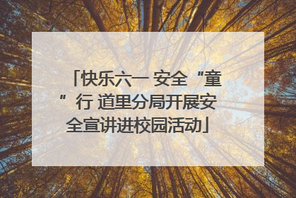 快乐六一 安全“童”行 道里分局开展安全宣讲进校园活动