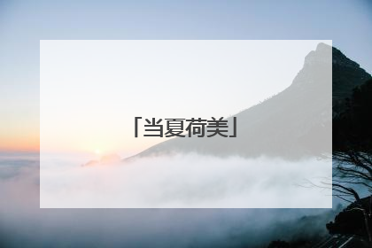 当夏荷美