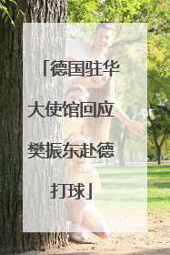 德国驻华大使馆回应樊振东赴德打球