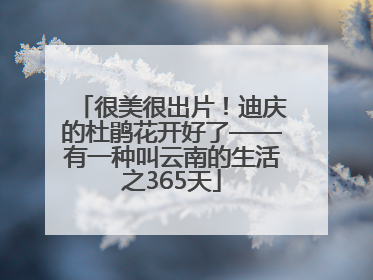很美很出片！迪庆的杜鹃花开好了——有一种叫云南的生活之365天