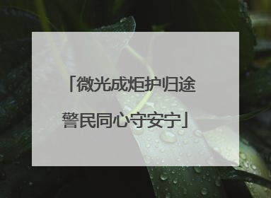 微光成炬护归途 警民同心守安宁