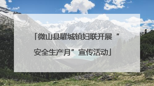 微山县驩城镇妇联开展“安全生产月”宣传活动