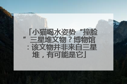 小猫喝水姿势“撞脸”三星堆文物？博物馆：该文物并非来自三星堆，有可能是它