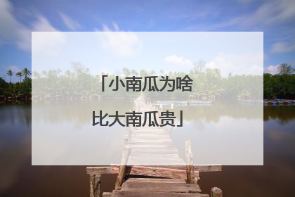 小南瓜为啥比大南瓜贵