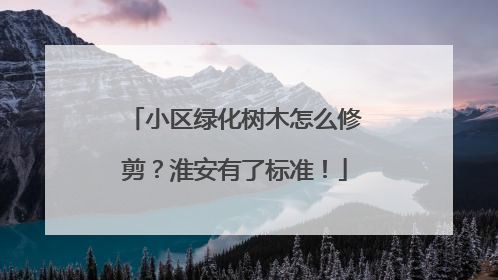 小区绿化树木怎么修剪？淮安有了标准！