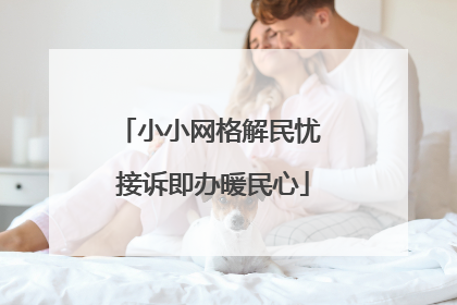小小网格解民忧 接诉即办暖民心