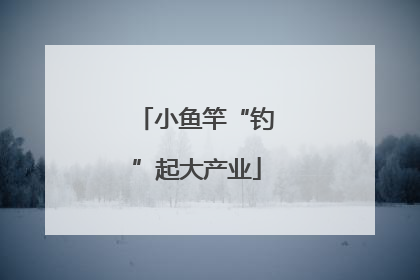 小鱼竿“钓”起大产业