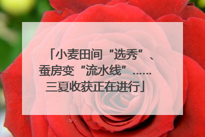 小麦田间“选秀”、蚕房变“流水线”……三夏收获正在进行