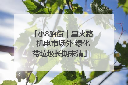 小8跑街｜星火路一机电市场外 绿化带垃圾长期未清