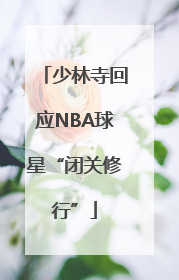 少林寺回应NBA球星“闭关修行”