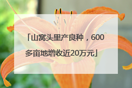 山窝头里产良种，600多亩地增收近20万元