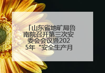 山东省地矿局鲁南院召开第三次安委会会议暨2025年“安全生产月”活动启动仪式