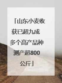 山东小麦收获已超九成 多个高产品种测产超800公斤