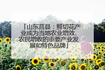 山东莒县：鲜切花产业成为当地农业增效、农民增收的重要产业发展和特色品牌