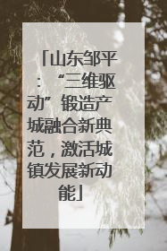 山东邹平：“三维驱动”锻造产城融合新典范，激活城镇发展新动能