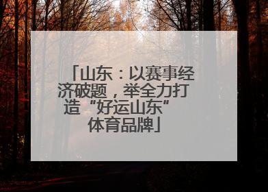 山东：以赛事经济破题，举全力打造“好运山东” 体育品牌