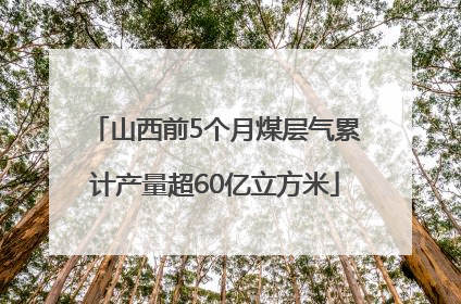 山西前5个月煤层气累计产量超60亿立方米