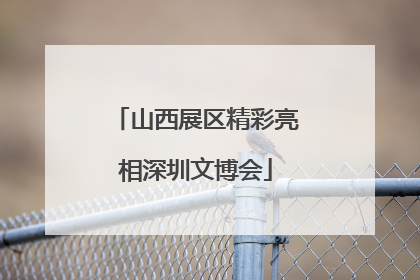 山西展区精彩亮相深圳文博会