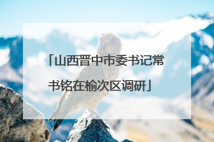 山西晋中市委书记常书铭在榆次区调研