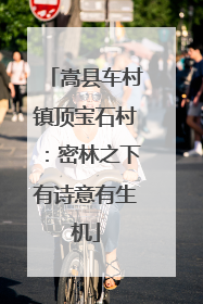 嵩县车村镇顶宝石村：密林之下有诗意有生机