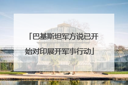 巴基斯坦军方说已开始对印展开军事行动
