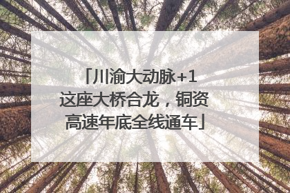 川渝大动脉+1 这座大桥合龙，铜资高速年底全线通车