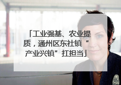 工业强基、农业提质，通州区东社镇“产业兴镇”扛担当