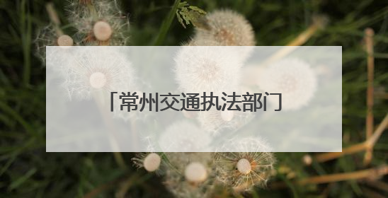 常州交通执法部门联合属地开展货车司机关心关爱活动