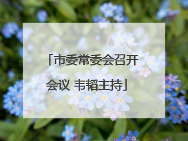 市委常委会召开会议 韦韬主持