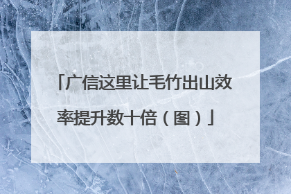 广信这里让毛竹出山效率提升数十倍（图）